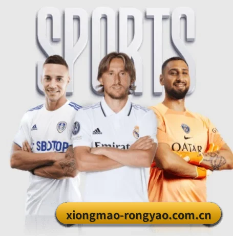 熊猫体育的方向(panda sports)